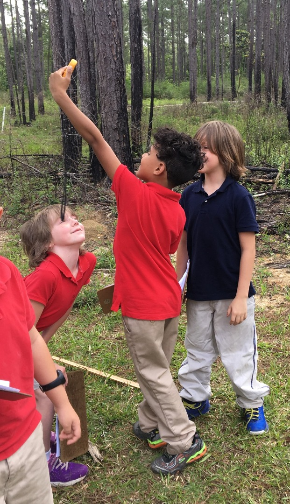 Boys taking measurements in the forest