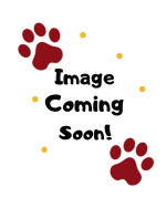 image-coming-soon